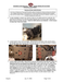 Trail Armor Ranger Midsize 570 full skid plate installation instructions, page 1 diagram